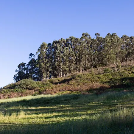 Okstay Misueno * La Esperanza (Tenerife)