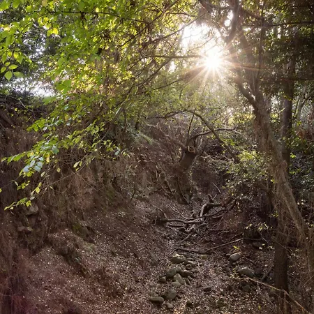 Okstay Misueno Prázdninový dům La Esperanza (Tenerife)