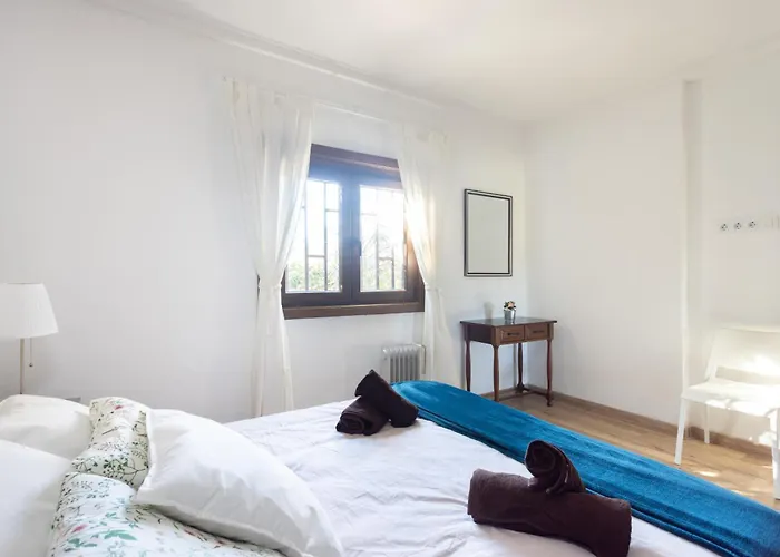 Okstay Misueno La Esperanza (Tenerife)