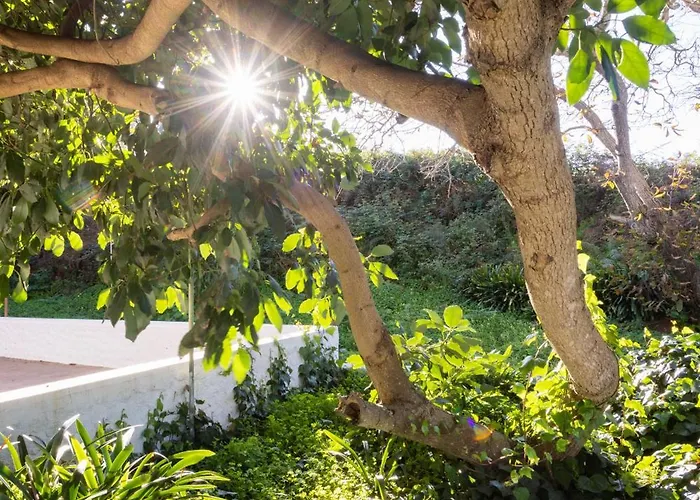 Okstay Misueno Ла-Эсперанса