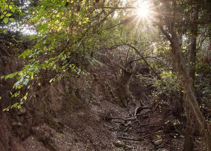 Okstay Misueno Дом отдыха Ла-Эсперанса