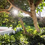Okstay Misueno La Esperanza (Tenerife)