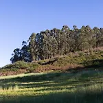 Okstay Misueno * La Esperanza (Tenerife)