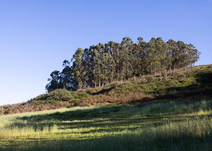 Okstay Misueno * La Esperanza (Tenerife)