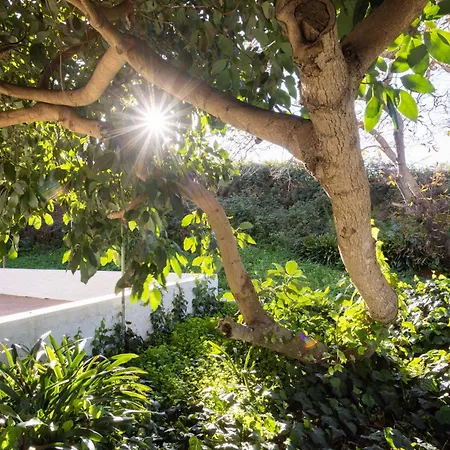 Okstay Misueno La Esperanza (Tenerife)