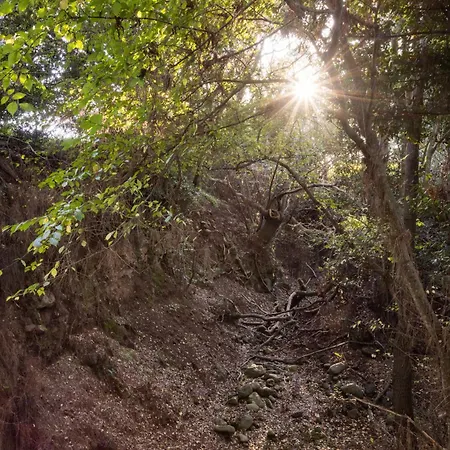 Okstay Misueno Semesterbostad La Esperanza (Tenerife)
